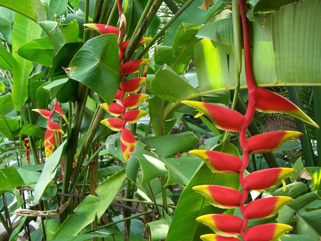 Posada El Jardin Ticul Εξωτερικό φωτογραφία