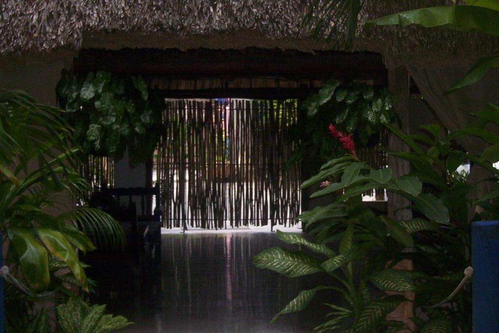 Posada El Jardin Ticul Εξωτερικό φωτογραφία