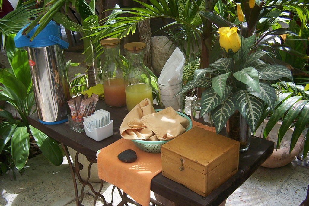 Posada El Jardin Ticul Εξωτερικό φωτογραφία